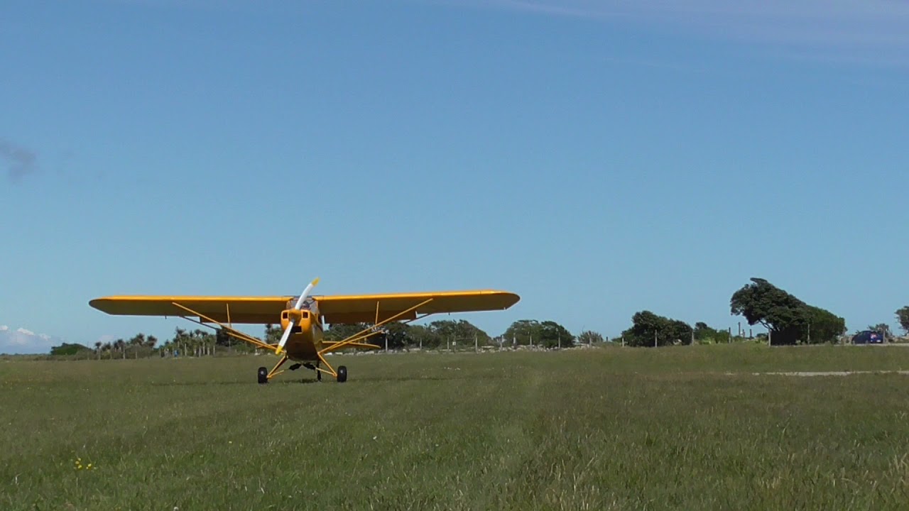 Savage Cub First Flight for 3 months