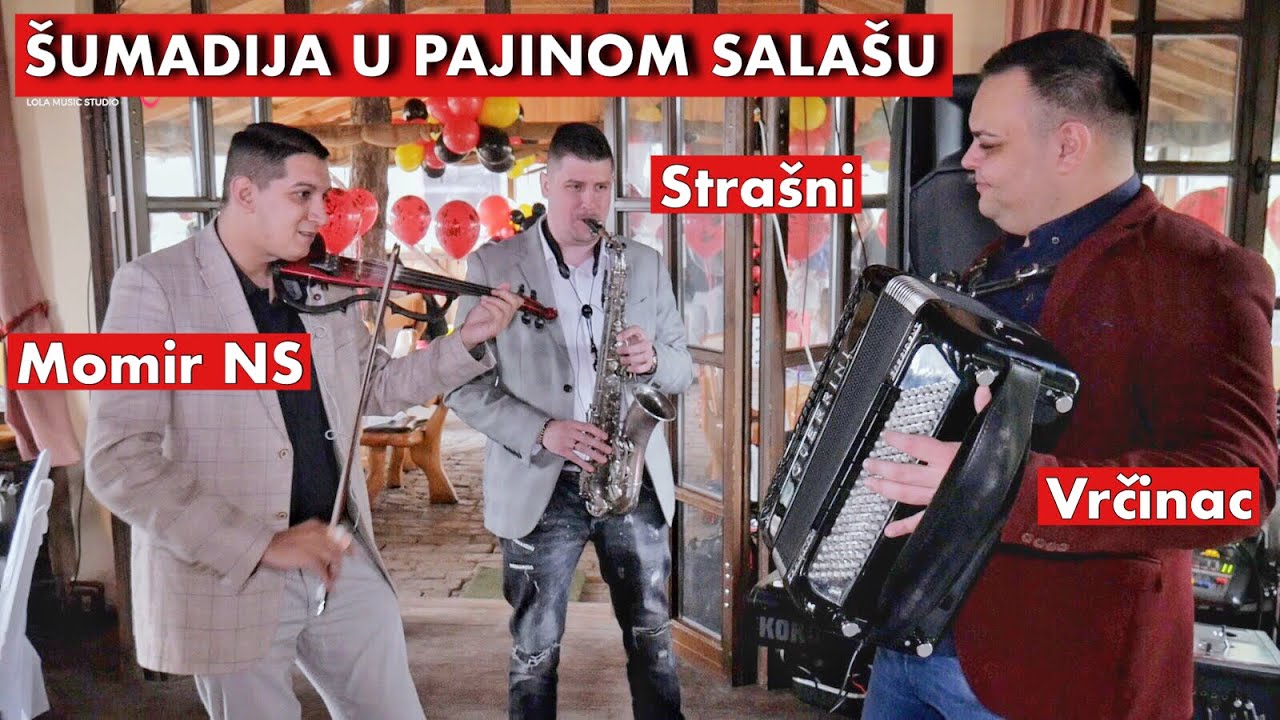 SUMADIJA U PAJINOM SALASU / MOMIR NS / VLADA VRCINAC / DANIJEL BURIC / DARKO / MILAN STRASNI