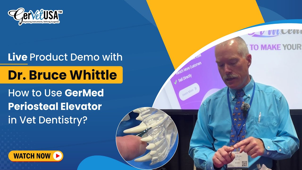Mastering the GerMed Periosteal Elevator 9 | Veterinary Dentistry with Dr. Bruce Whittle