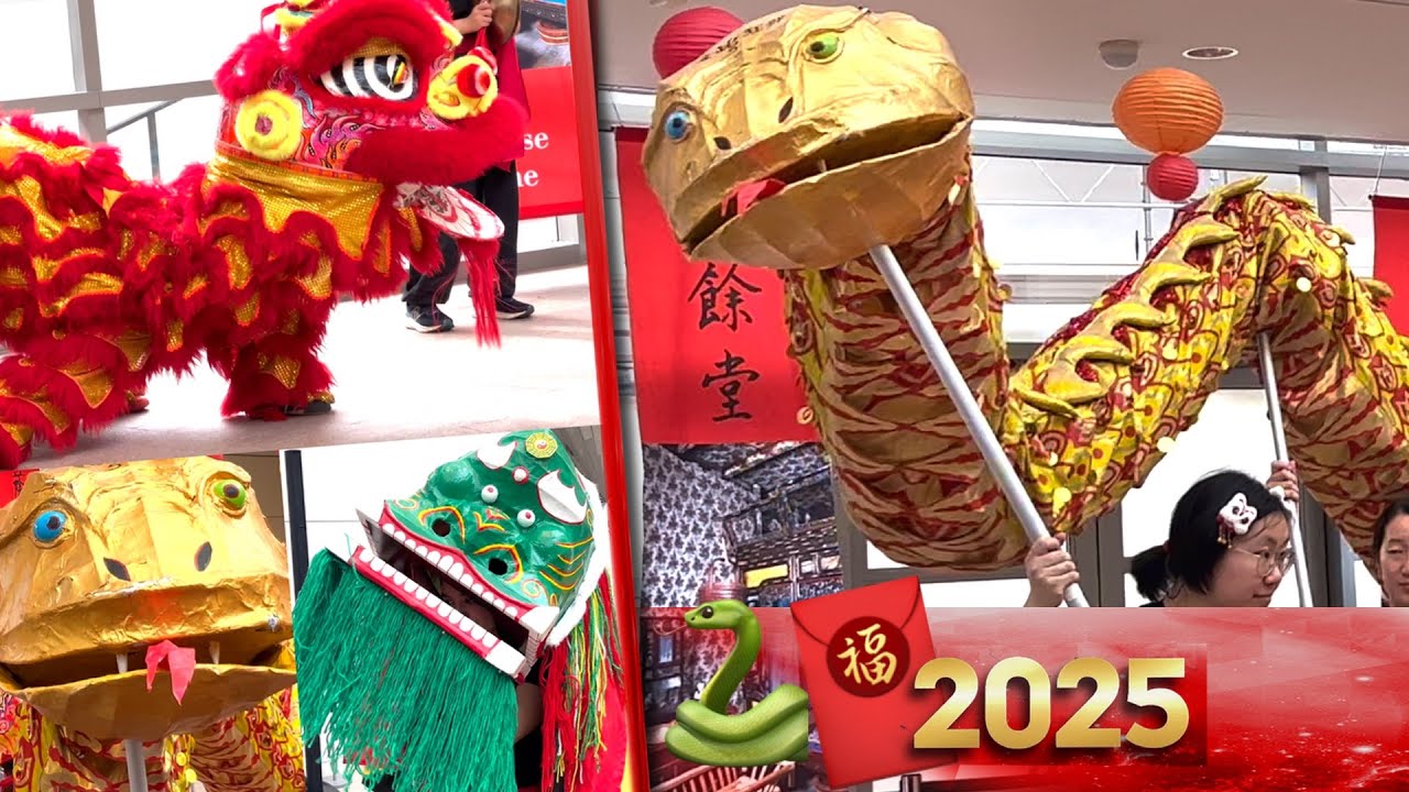 2025 Gund Kwok Female Lion Dance USA Golden Snake ✨🐍 CNY Performance Boston Peabody Museum PART 2