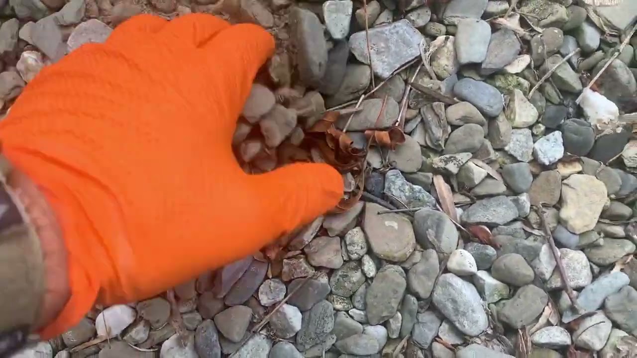 Treating the Mole Infestation with the Burrow RX