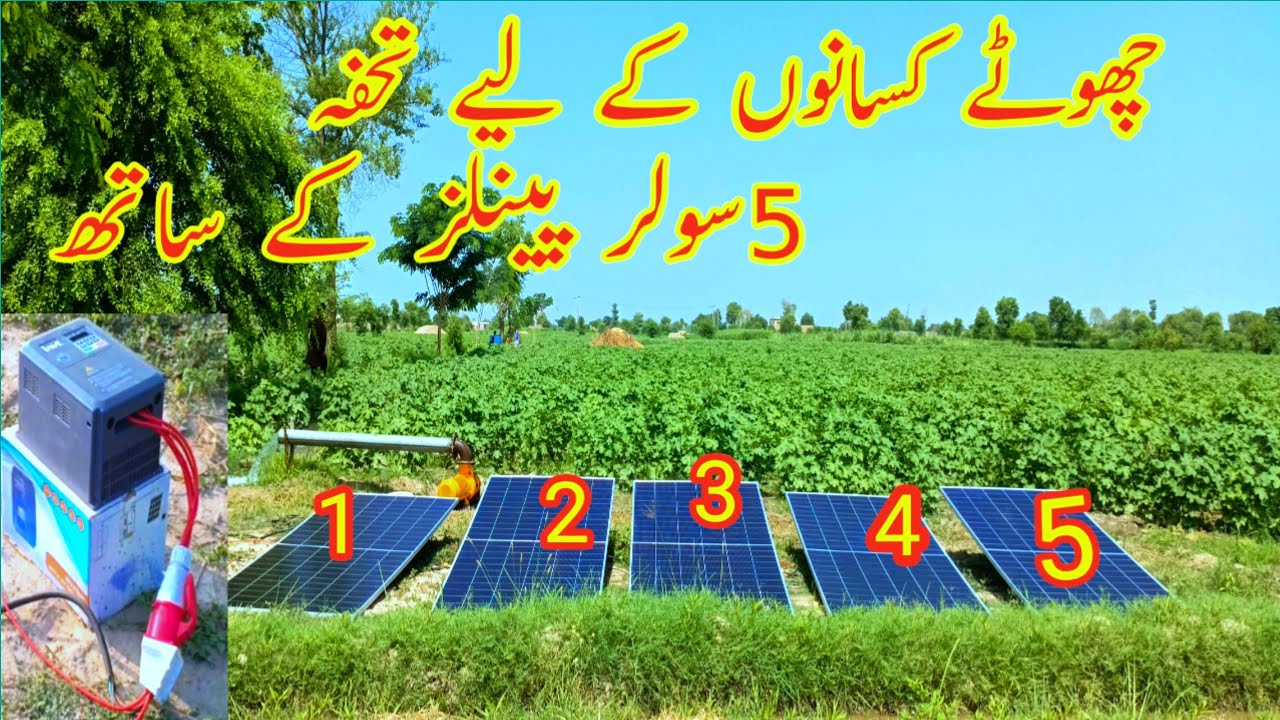 Solar tubewell, 5×4 monoblock sirf 5 solar panels ke saath, inverter se. #solarenergy 