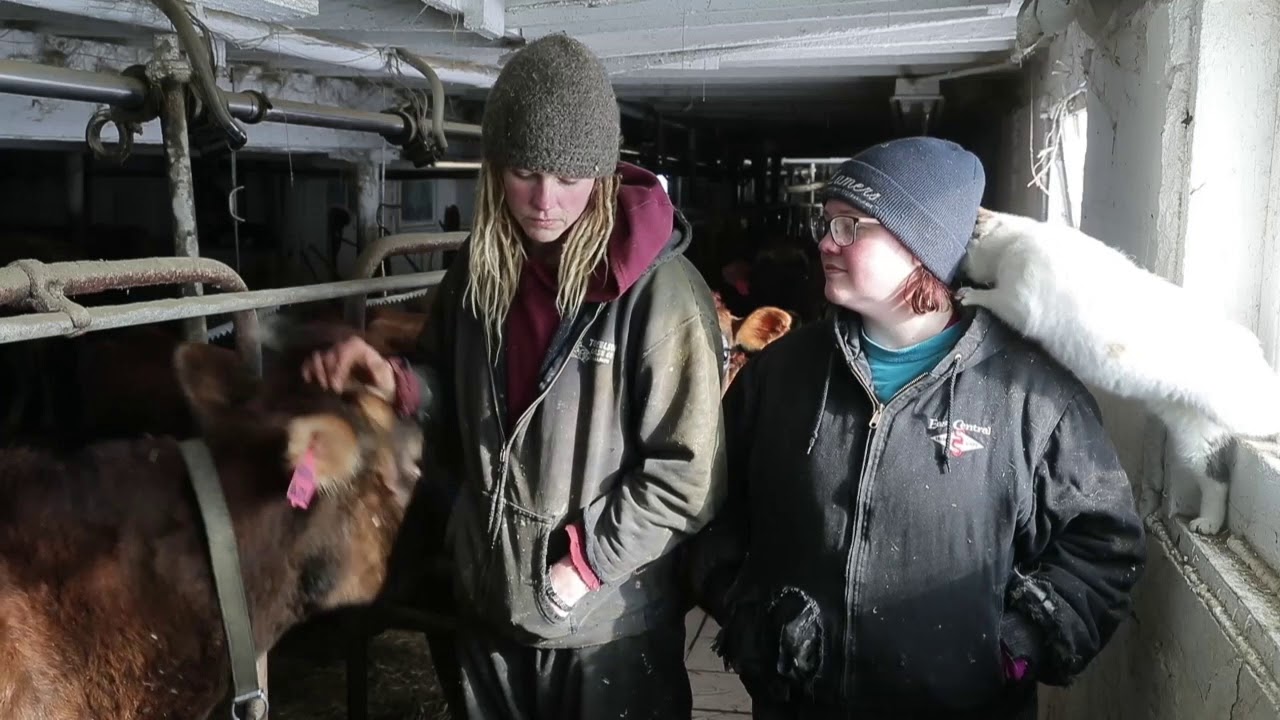 Organic dairy farmers Emily and Brandi Harris