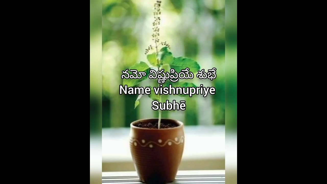 kshērabdhi dwādasi tulasi prayer slokam