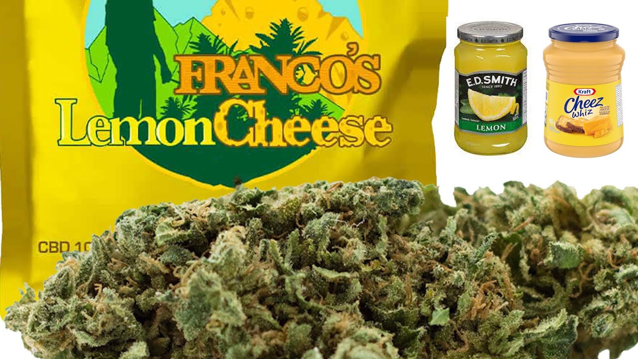 Franco's Lemon Cheese - A Medical Unboxing - Sensi Medical