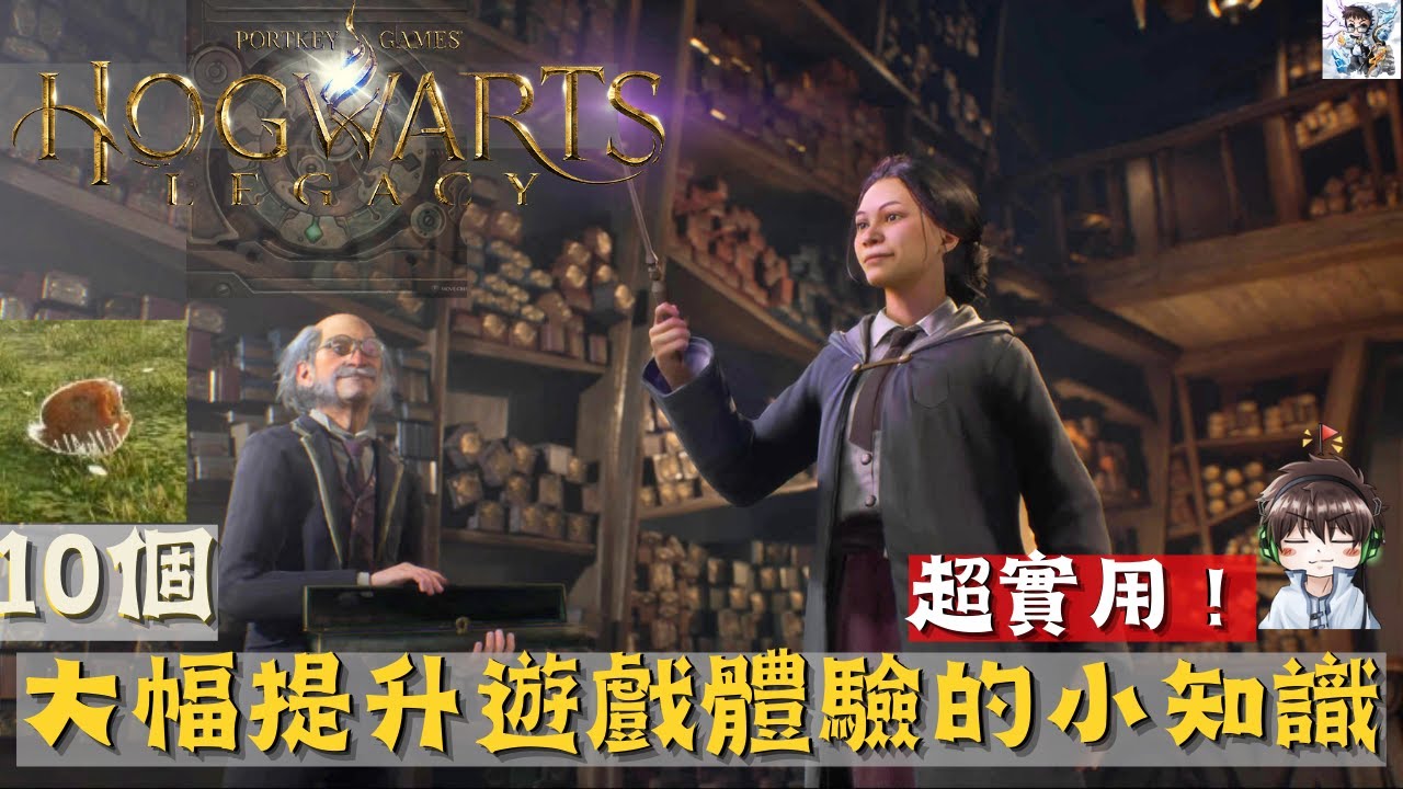 【霍格華茲的傳承】超實用的知識、技巧！真希望自己遊戲開始時就知道這些