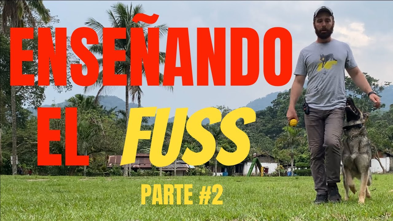 Enseñando el Fuss para IGP Parte #2 - Quitando el Señuelo