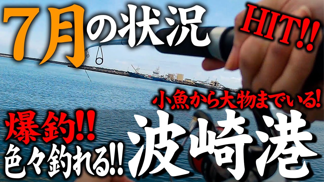【波崎港】入れ食いにワクワクが止まらない！！ぜひ実釣前にご覧ください。～2025.07.13～
