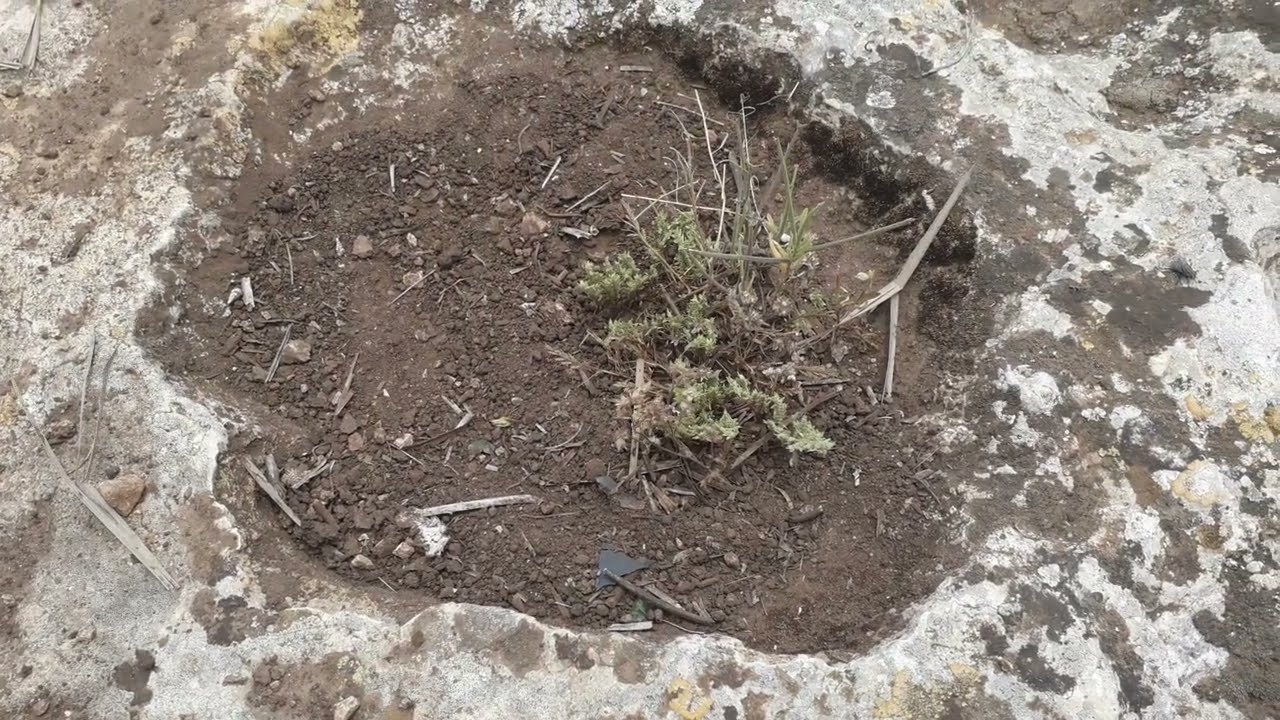 الجرن الصحن من احسن  الرموز الدالة على الغرف