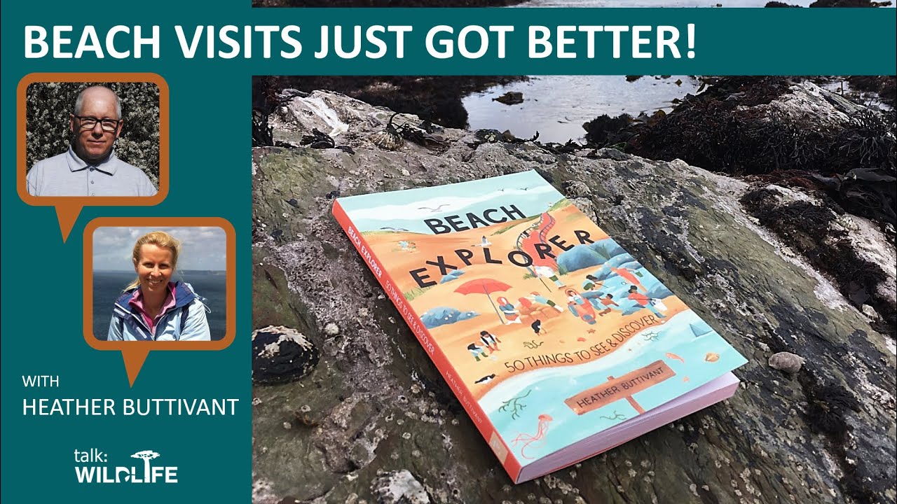 Beach visits just got better!