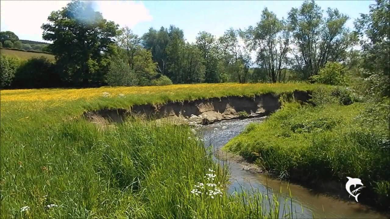 Walking series - Hiking along the river Geul - part 1