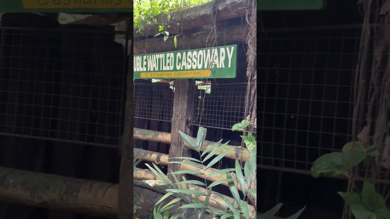 Avilon Zoo part 4