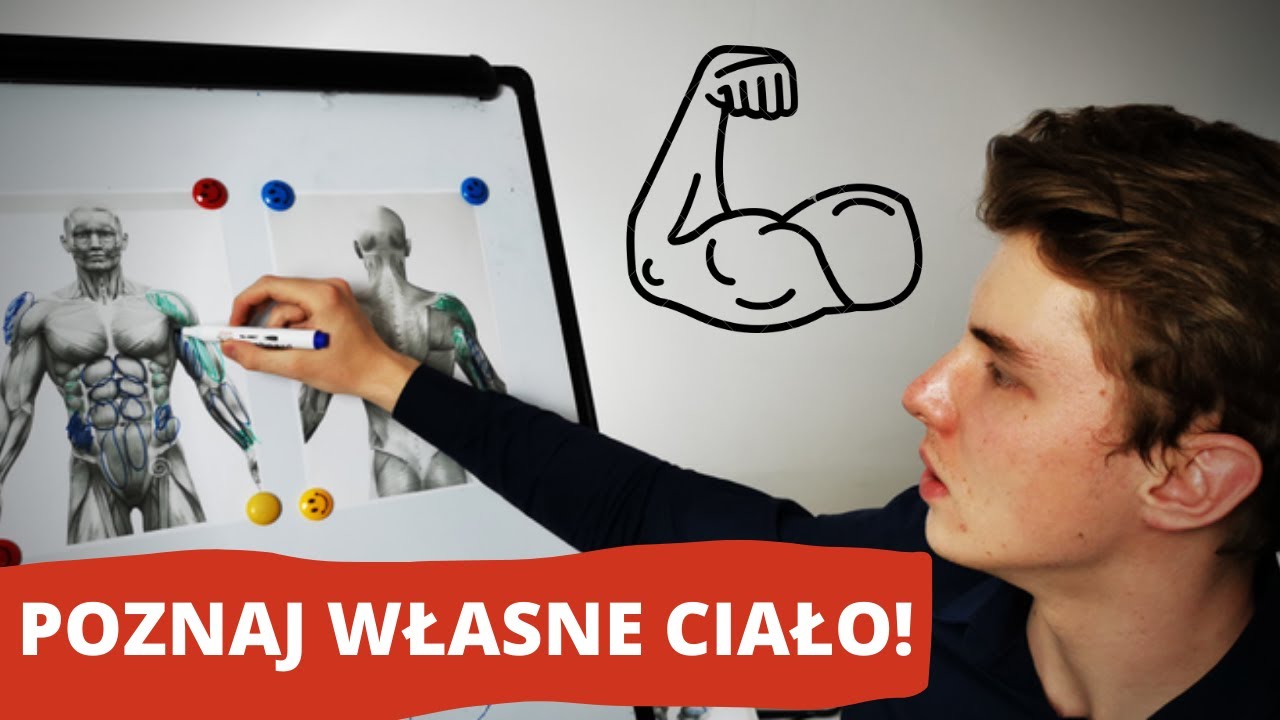 ANATOMIA CZŁOWIEKA - NAJWAŻNIEJSZE MIĘŚNIE