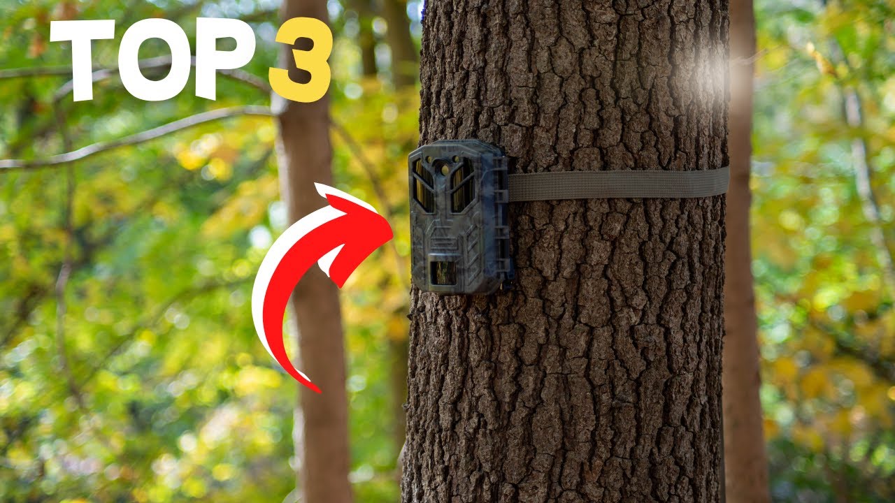 TOP 3 : Meilleure Caméra de Chasse 2023