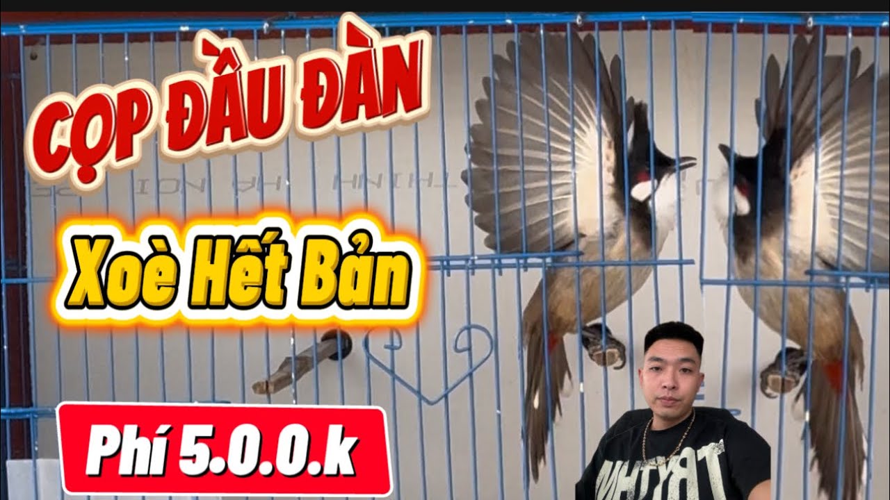 13-3. SIÊU CỌP ĐẦU ĐÀN BỘ KHỦNG. XOÈ HẾT BẢN. PHÍ CHỈ 5.0.0.k. HÀNG TUYỂN CHO AE GỘT DÀN 