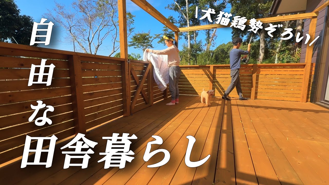 【田舎暮らし】脱サラ移住夫婦のリアルな日常ルーティン【移住109】