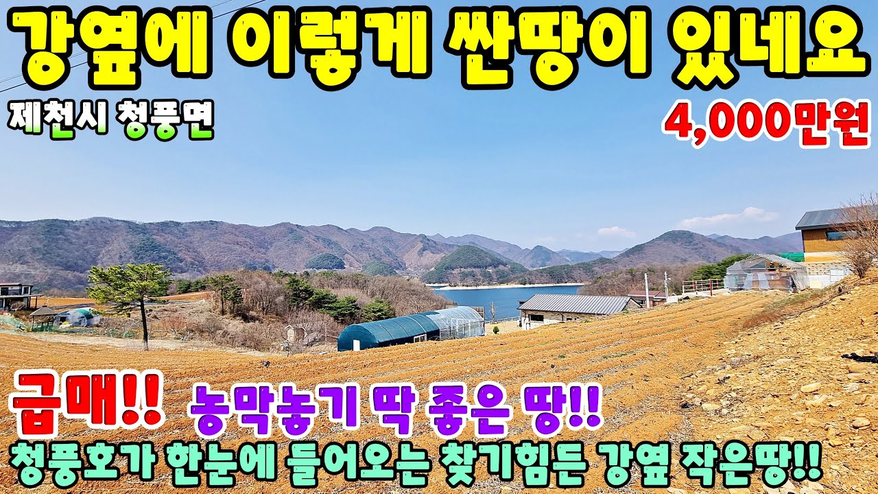 973. 싼땅!! 강옆 찾기힘든 작은땅!! 급매물 제천시 청풍면 토지매매 주택매매 단독주택 제천부동산 제천토지매매 전원주택매매 시골집급매 촌집매매