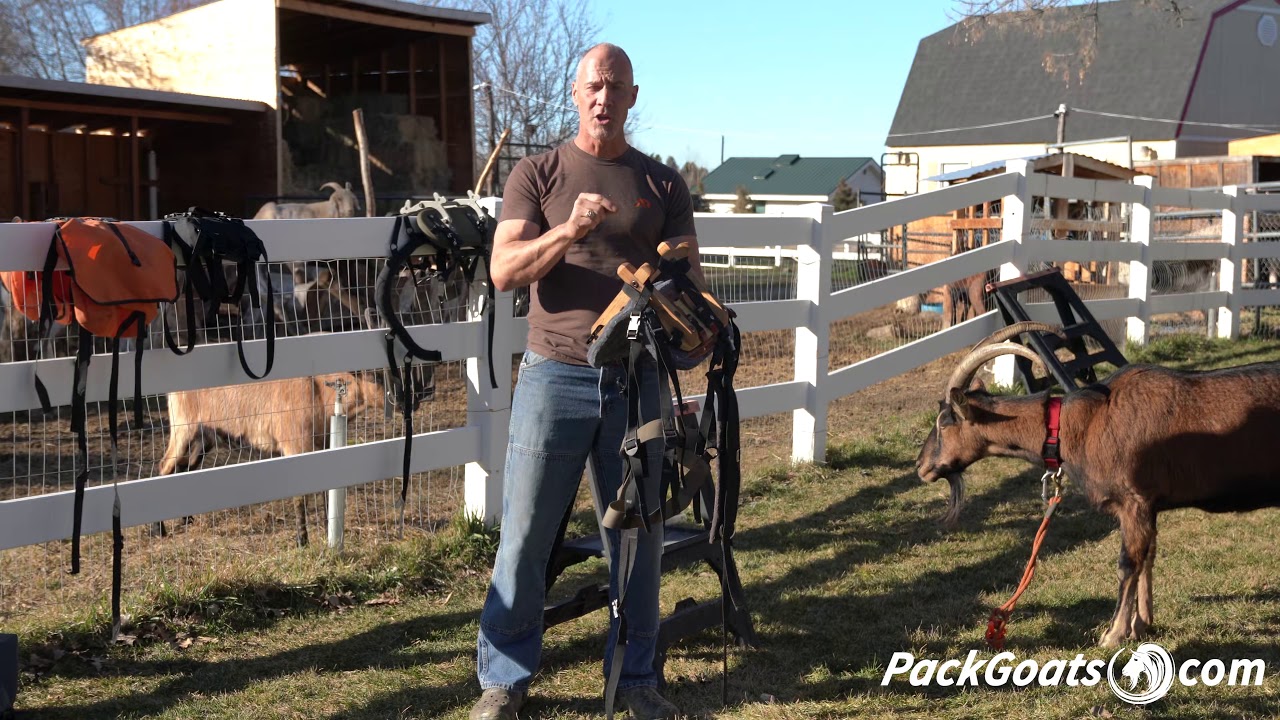 Marc Warnke Pack Goat Saddle Reviews - Full Lineup