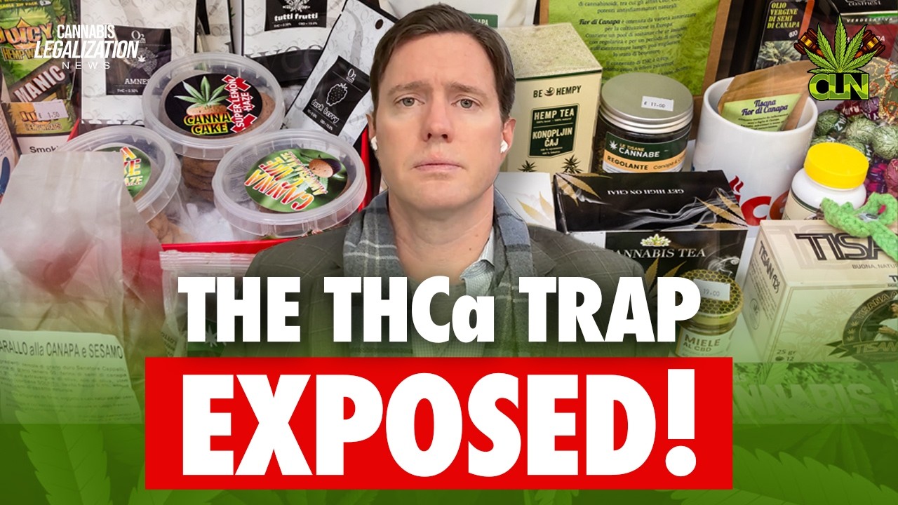 The $30 BILLION Loophole That Accidentally Legalized It? 🌿