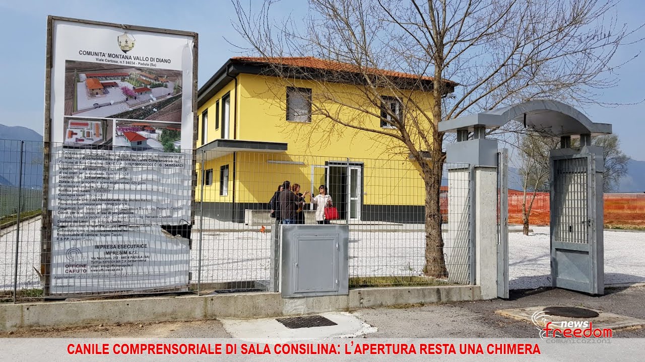Canile Comprensoriale di Sala Consilina: dopo tante promesse l’apertura resta una chimera