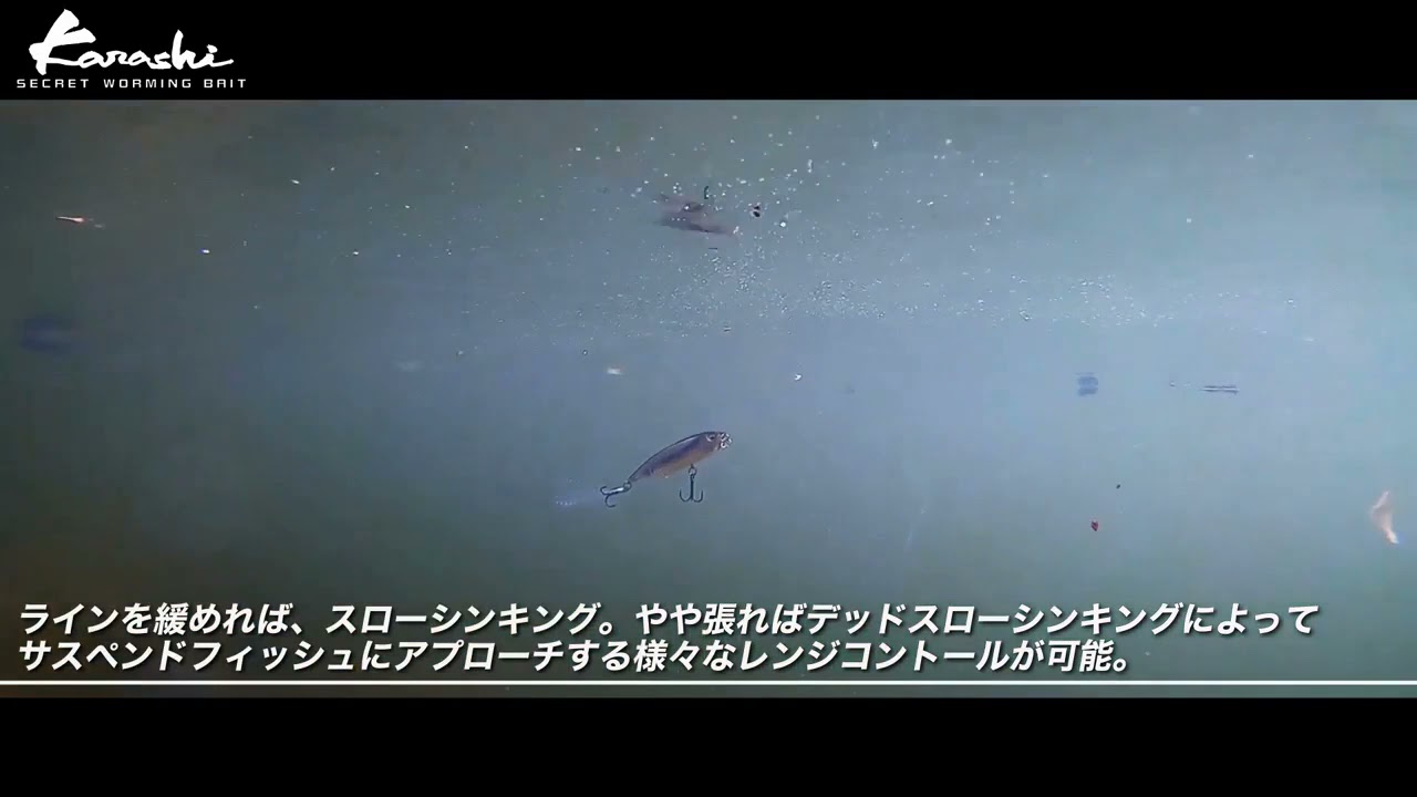 MEGABASS KARASHI