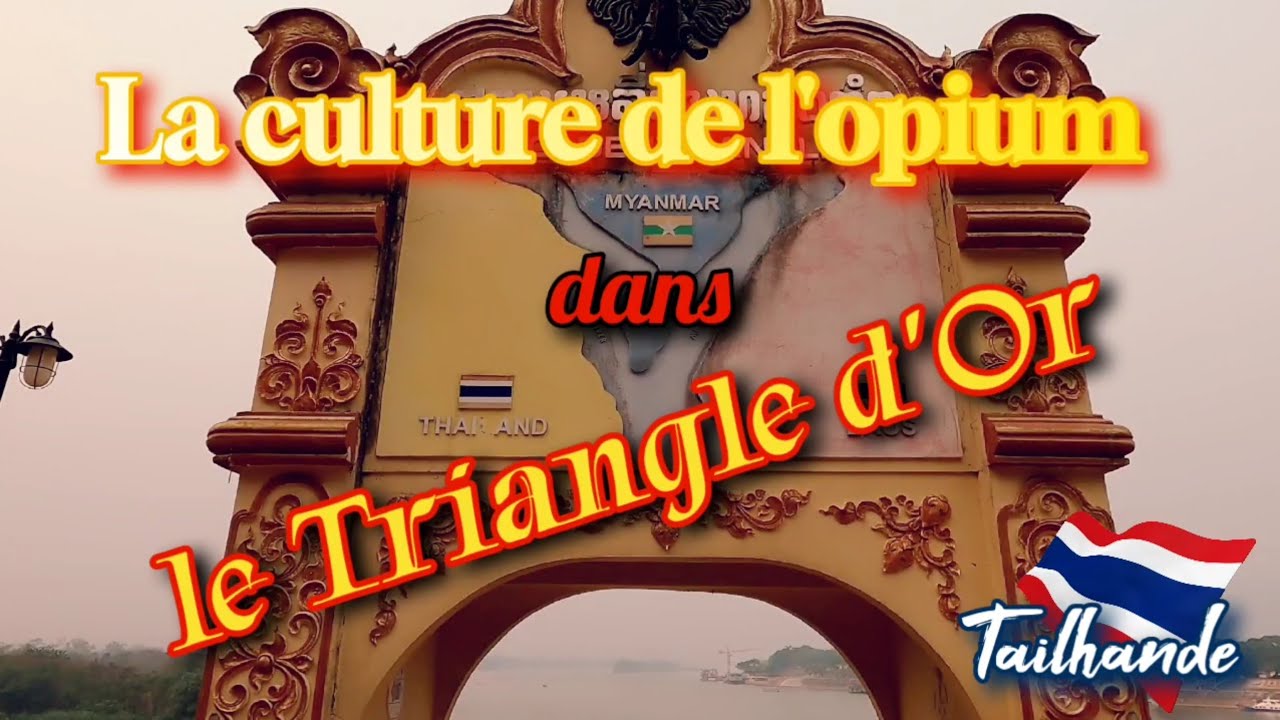 #18. en Asie. La culture de l'opium dans le triangle d'or.