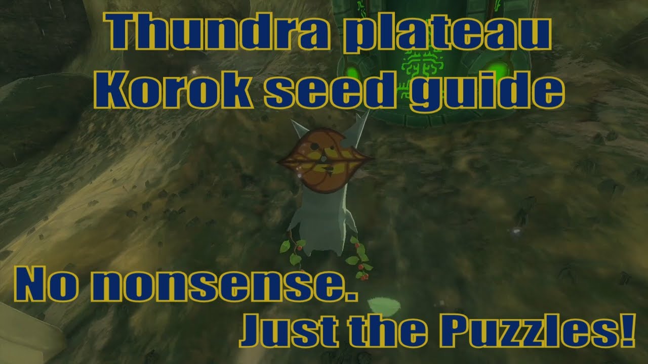 How to get Korok seed in rain - Thundra plateau guide | Zelda TOTK