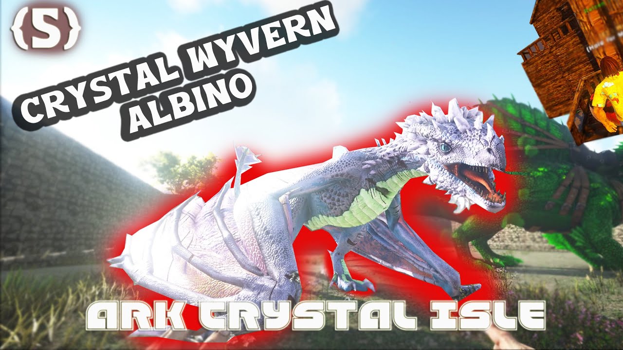 Reaksi Ketemu Base Player Lain Dan Taming Crystal Wyvern - 5 Crystal Isle Eternal