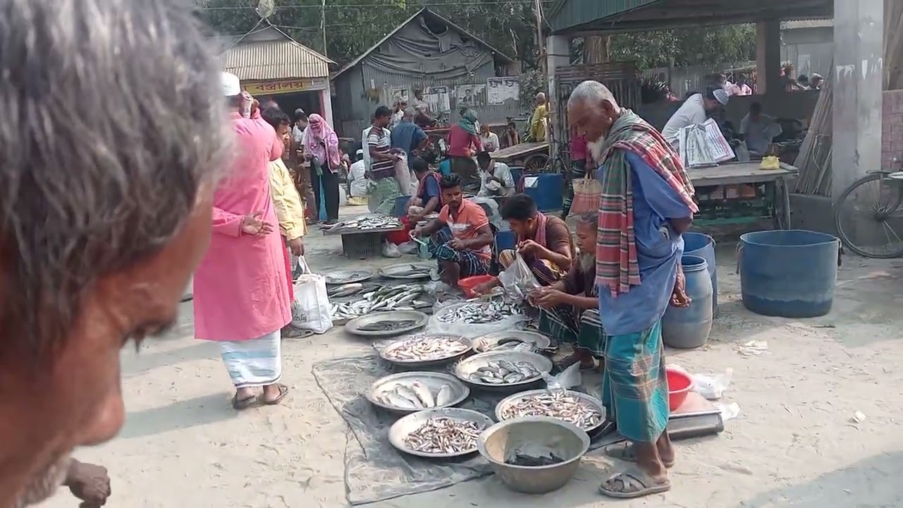 ভুয়াপুর কুঠিবয়রা মাছ বাজারে কি হলো #vairalvideo #automobile #folkgaan❤️