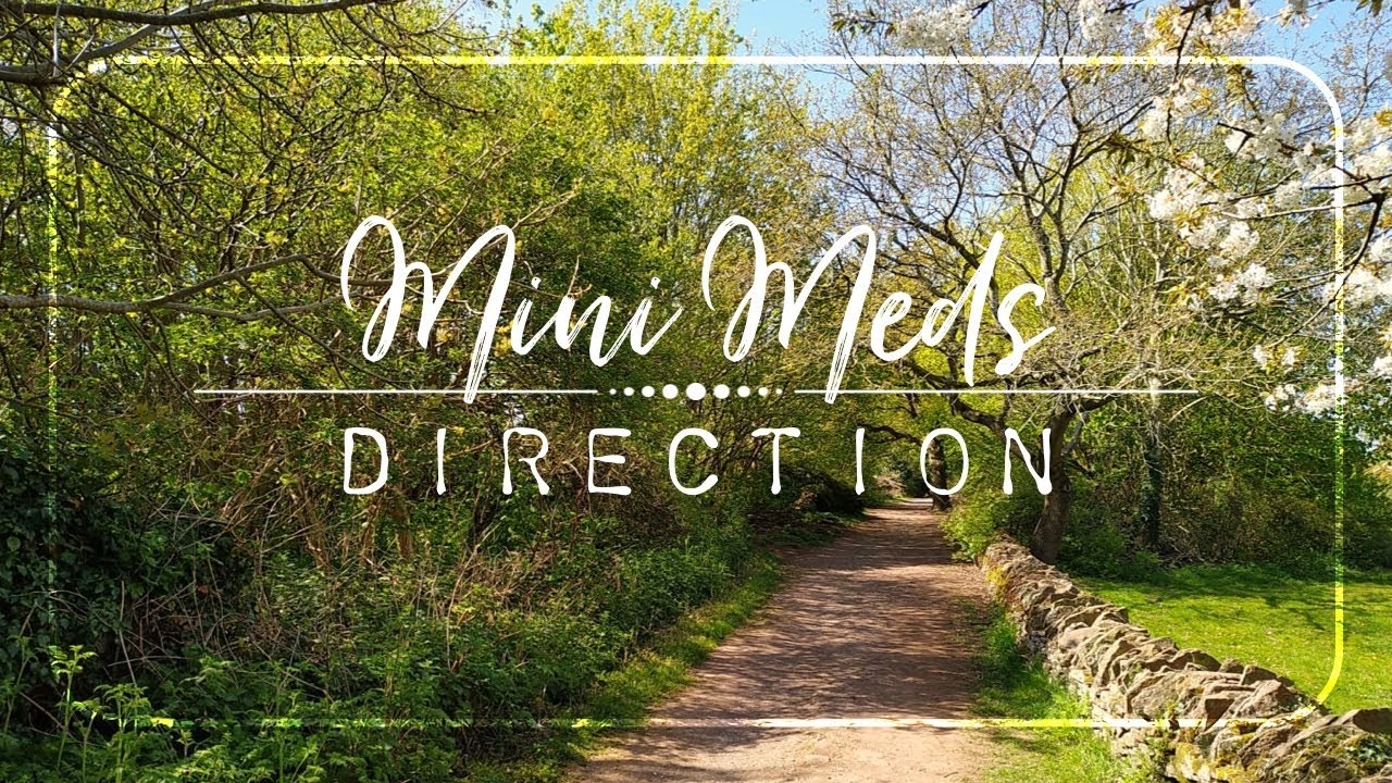 Mini Meditation | DIRECTION | 5 Minute Guided Meditation | Check-in on Your Personal Path ➡️