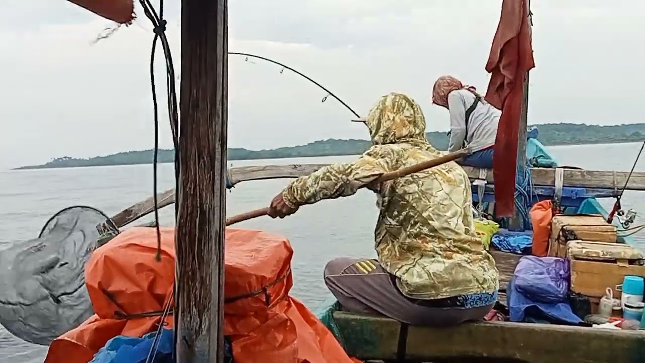 Jigging pagi hari dapat babon 