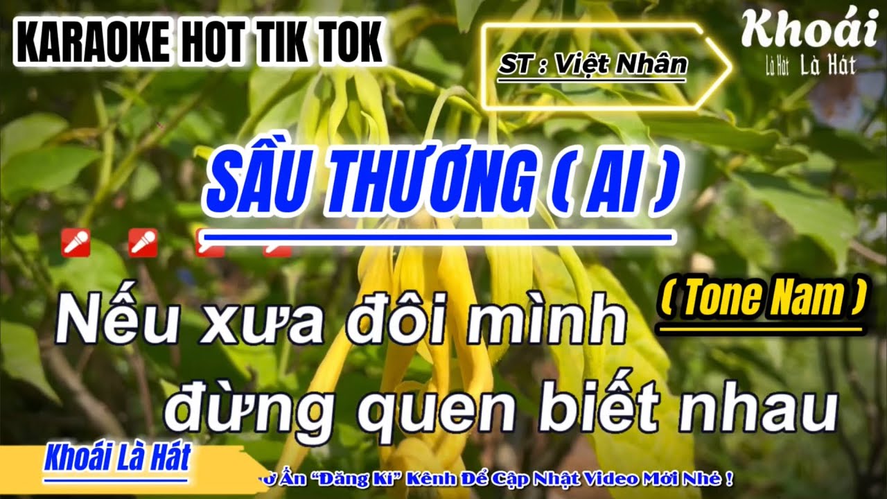 Karaoke Sầu Thương AI ( Tone Nam ) St : Việt Nhân | Nếu xưa đôi mình đừng quen biết nhau...