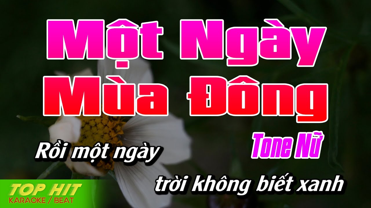 Một Ngày Mùa Đông Karaoke Tone Nữ Dm | Beat Phối Mới Chuẩn SlowPop | TOP HIT KARAOKE