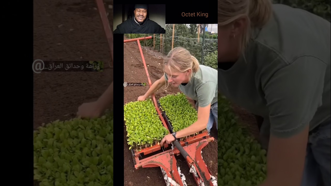 Top technics and easy way for planting crops. #farming #technique #crops #technology