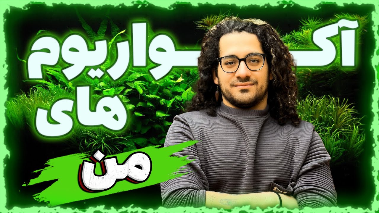 الان دیگه خونه من خودش  یه فروشگاه آکواریومه!😍😂