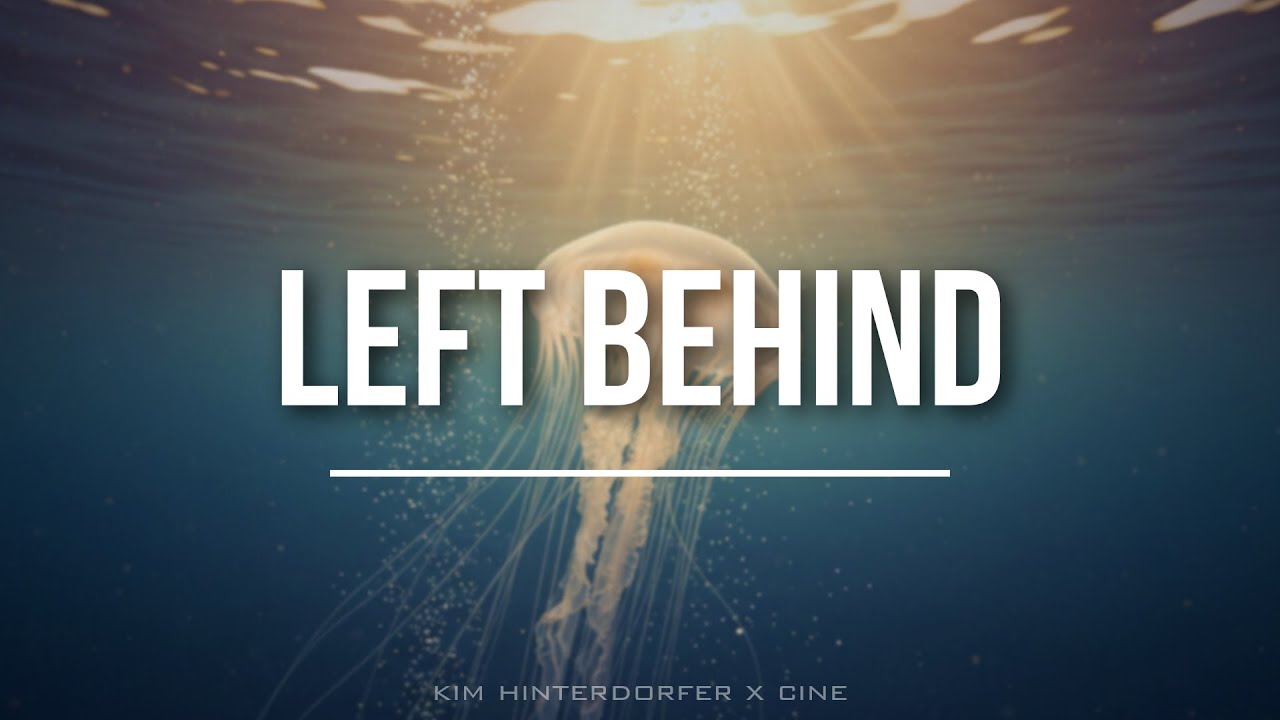 Left Behind I Deepmatic