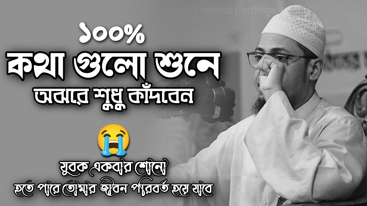 😥কথাগুলো অন্তরে দাগ কাটে | আনিসুর রহমান আশরাফী নতুন ওয়াজ | Bangla Waz 2023 New | Alokito Tv
