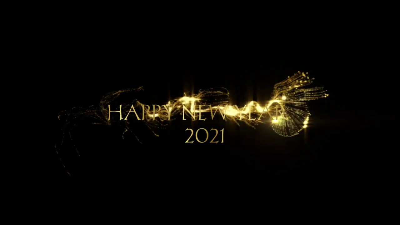 HAPPY NEW YEAR 2021||MBC FACTS||