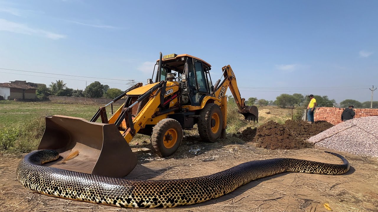 JCB 3DX BACKHOE DIGGING TRENCH IN THICK MUD FOR HOUSE BOUNDARY WALL | MUD WORK CHALLENGE | Jcb video