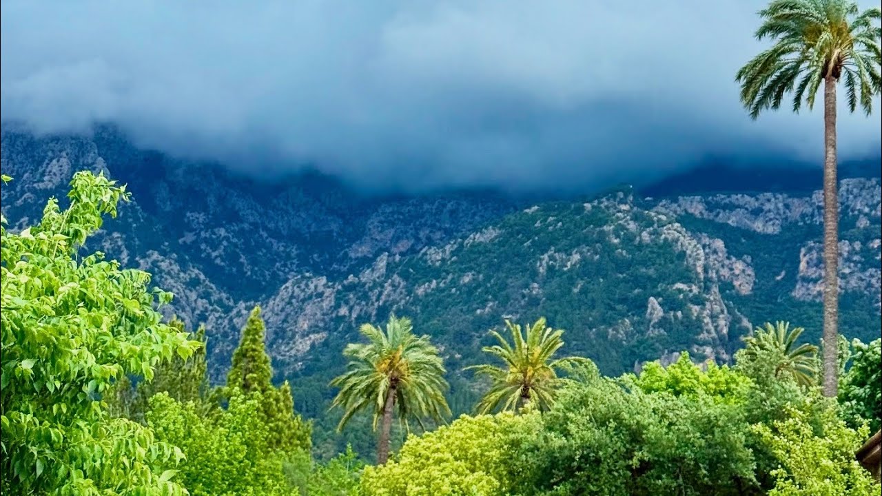 Mallorca Westcoast: Sóller & Sa Calobra