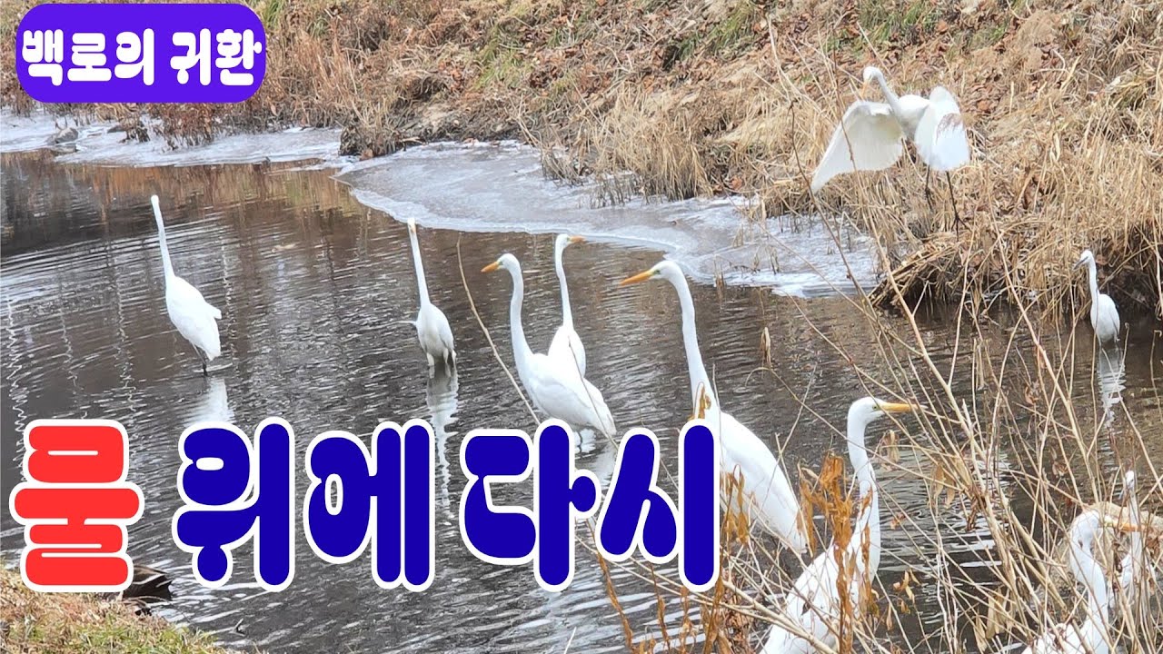 조용히 곁에 머무는 위로의 노래