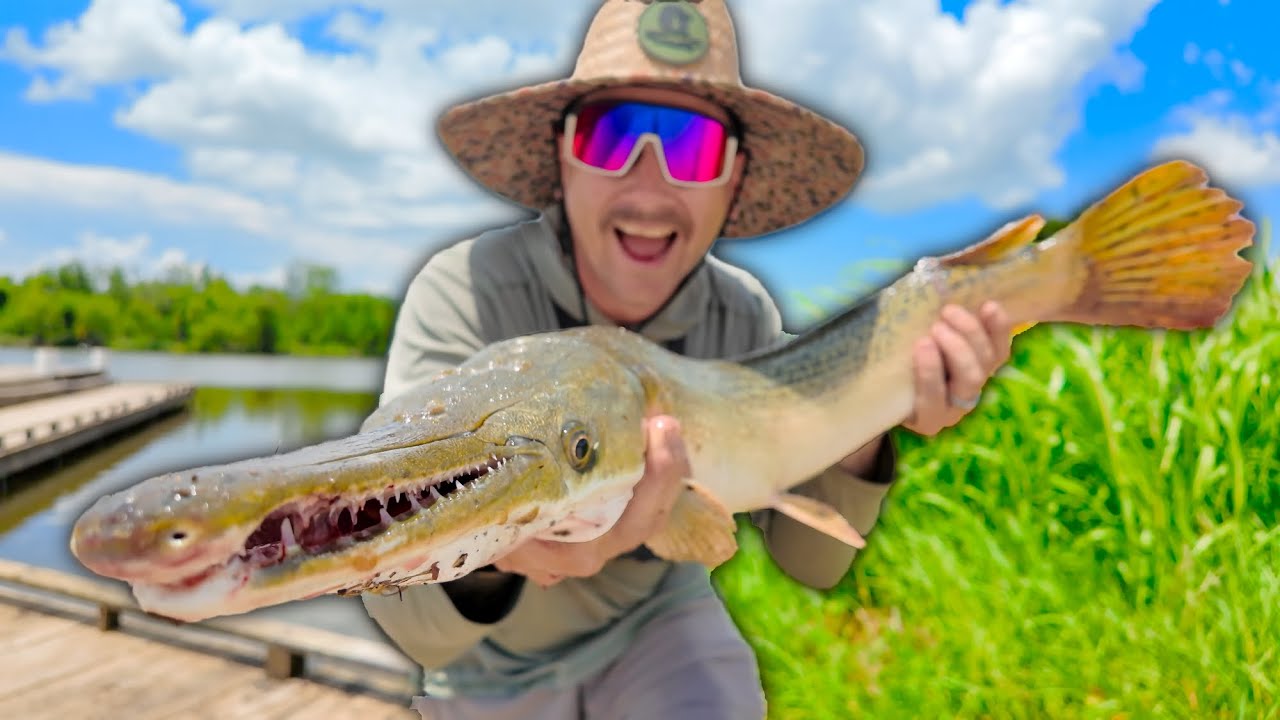 Catching Alligator Gar in a Mississippi River Spillway