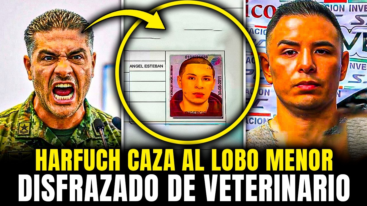 HARFUCH CAZA a “EL LOBO MENOR” DISFRAZADO de VETERINARIO: HUÍA con MILLONES en CAMIONETA