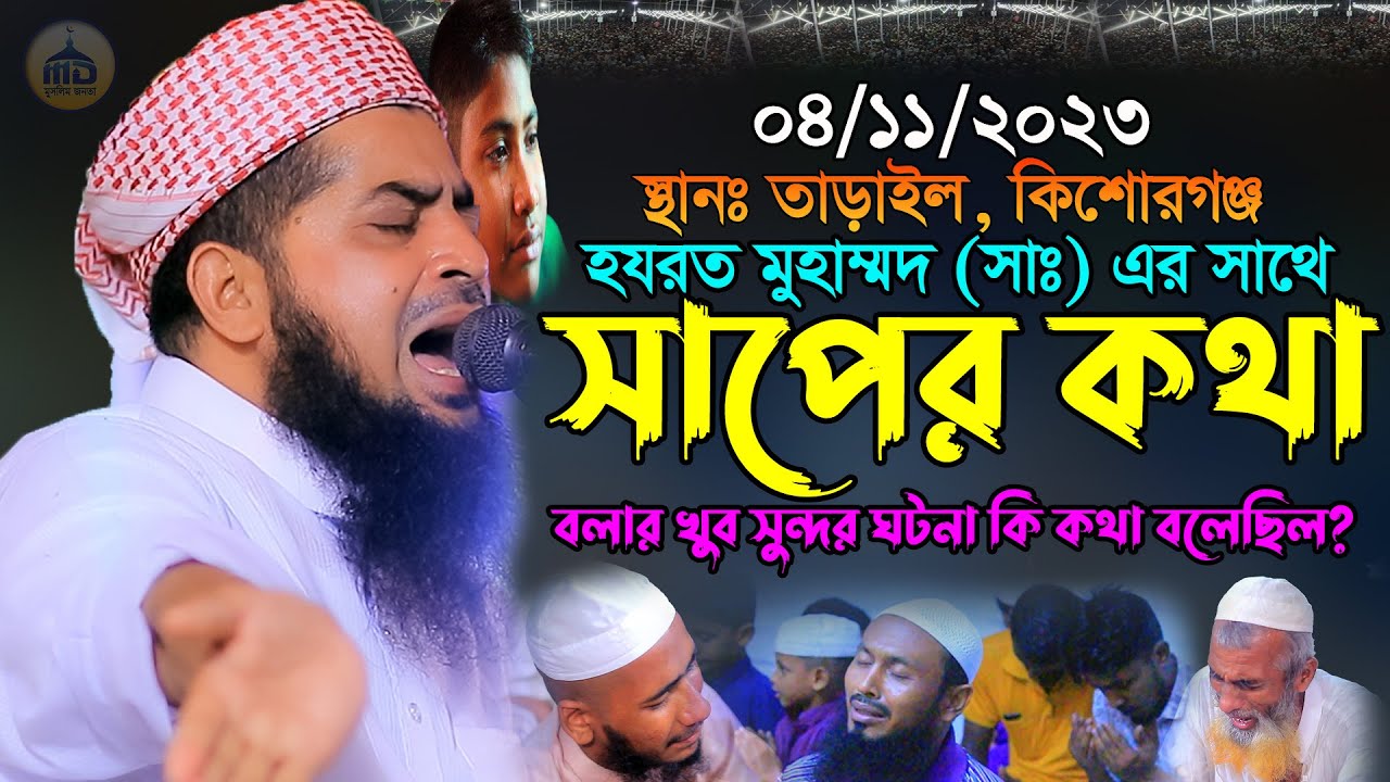 ৪-১১-২০২৩নবীজি (সাঃ) সাথে সাপের কথা বলার সুন্দর ঘটনা | eliasur rahman zihadi | ইলিয়াছুর রহমান জিহাদী