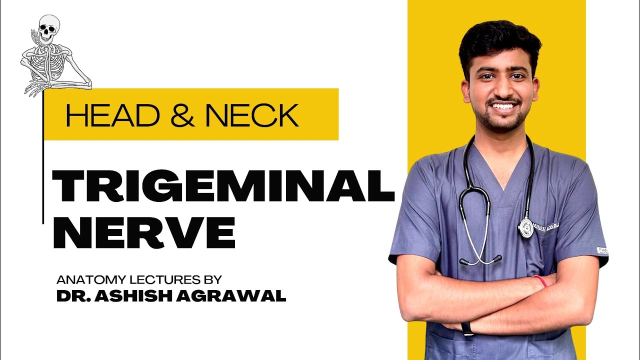 Trigeminal nerve || Head And Neck Anatomy || First Year MBBS || Anatomy Lectures by Ashish
