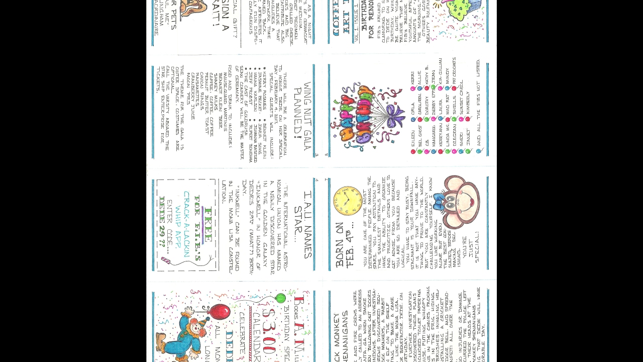 Dede's Birthday Zine
