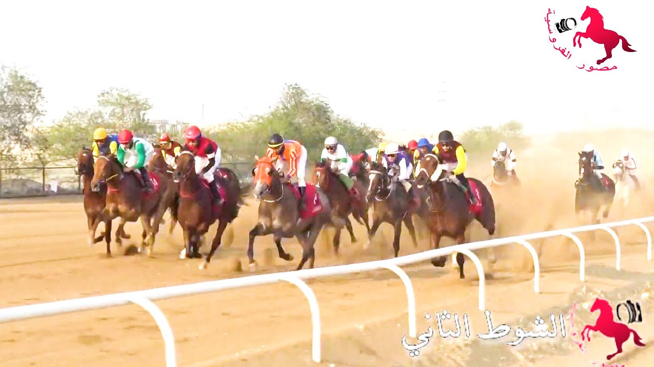 أقوي سباقات السرعة في دولة الكويت