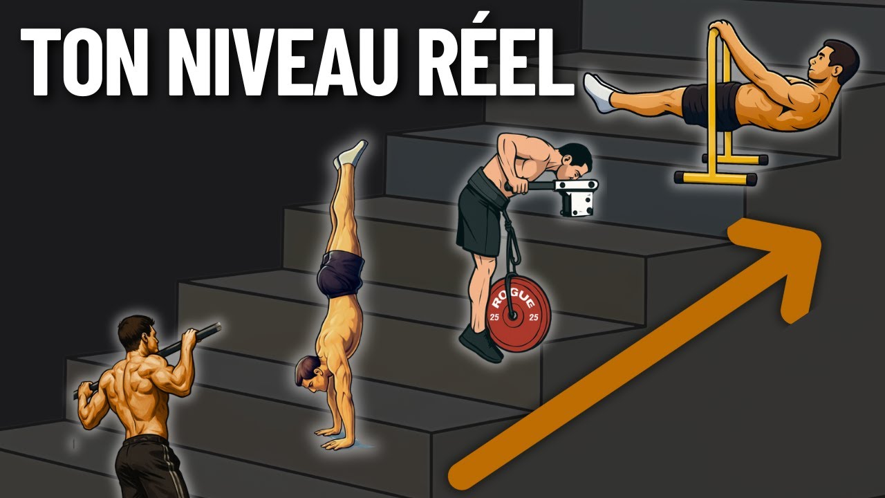 L'Échelle de Progression en Callisthénie Et Streetlifting