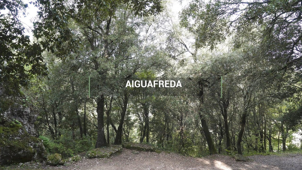 Apropa't i viu Aiguafreda