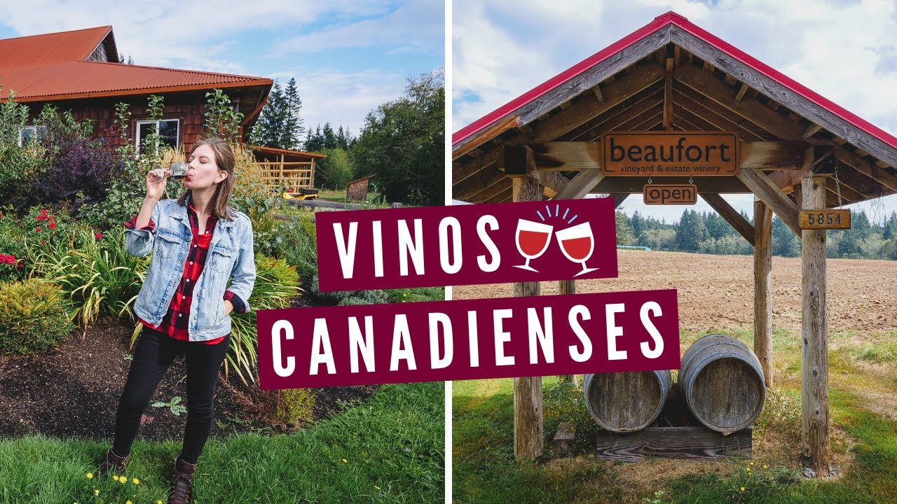 VINOS CANADIENSES 🍷🌲 Cata de Vinos en el Viñedo del Director de TITANIC en la ISLA DE VANCOUVER 🦌🍇